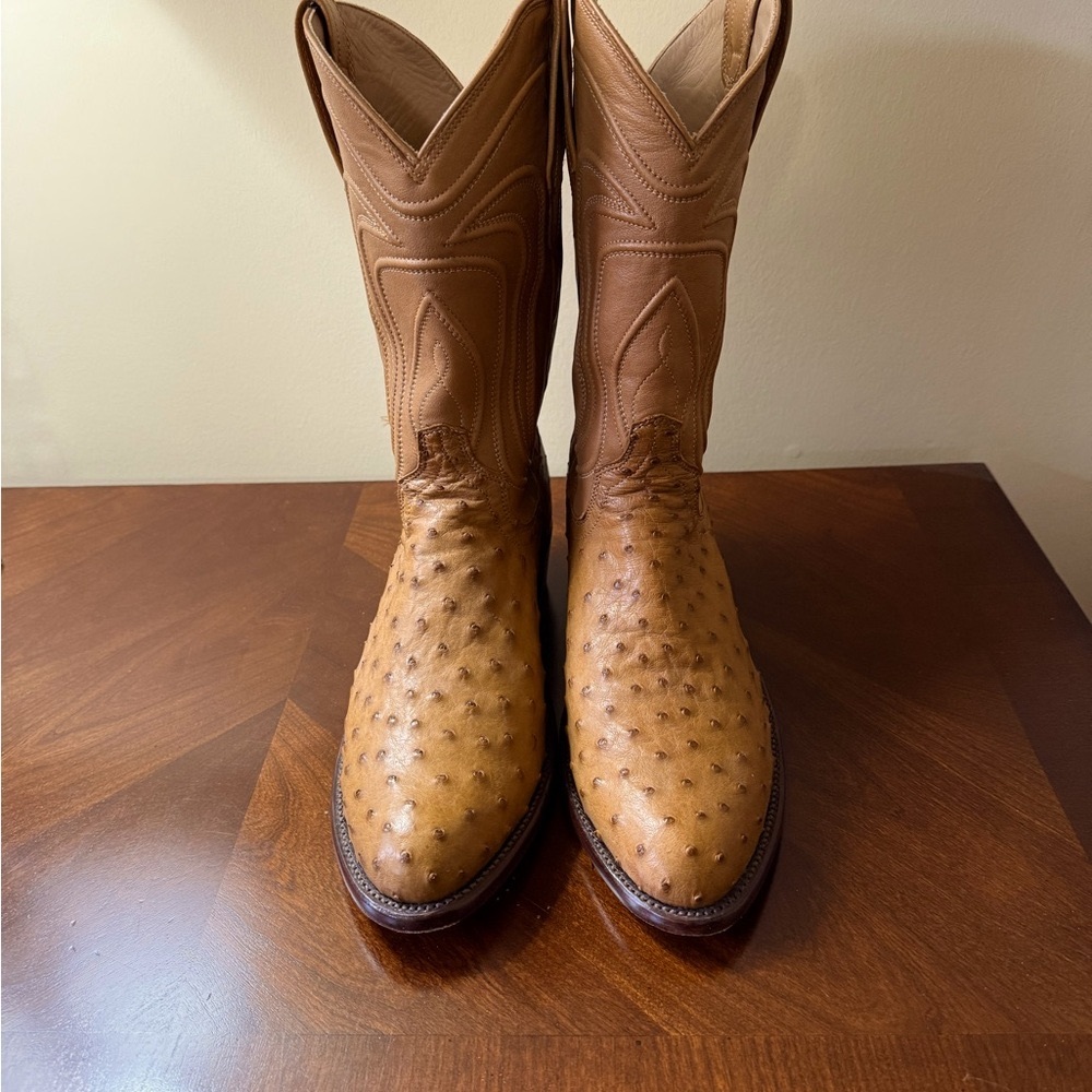 TECOVAS Wyatt Full Quill Ostrich Cowboy Boots
Russet color. Worn once